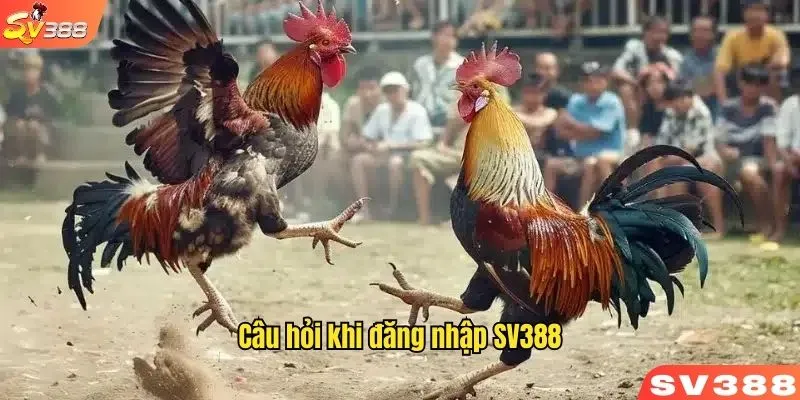 Liên hệ với nhân sự CSKH khi không nhận được mã xác thực