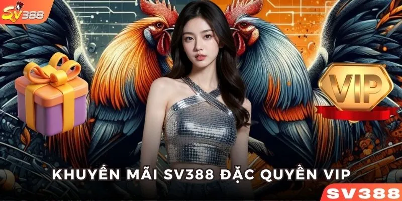 Ưu đãi đặc quyền VIP dành cho member